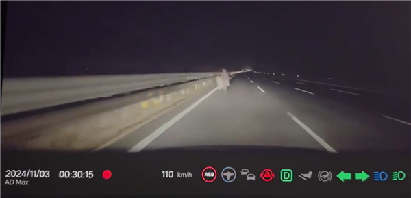 行人凌晨高速路上逆行 理想汽車AEB立功：救了兩個(gè)家庭