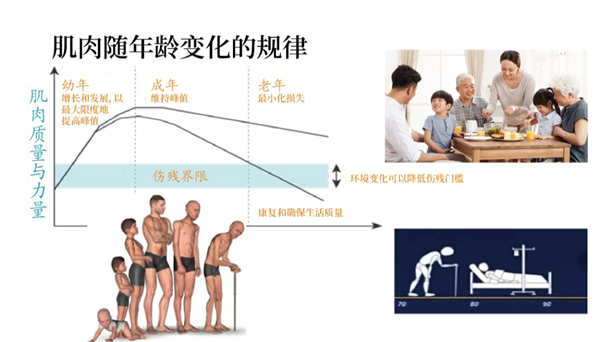 過了這個年紀 肌肉會快速流失！直到跌倒、骨折、不能自理