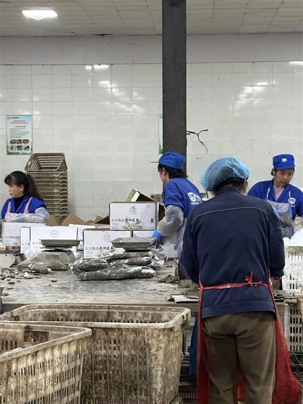 新疆的海鮮、甘肅的蝦 農(nóng)業(yè)大摸底太精彩了