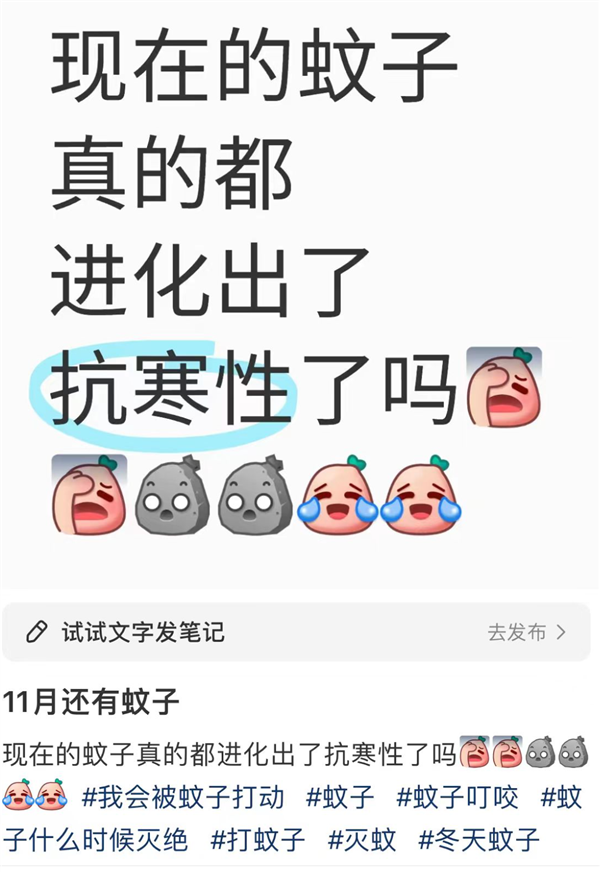 都冬天了！為什么近還這么多蚊子