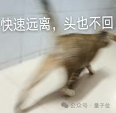 貓貓的運動方程：首次被物理學家破解了！