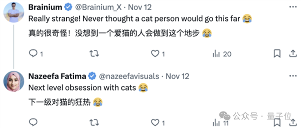 貓貓的運動方程：首次被物理學家破解了！
