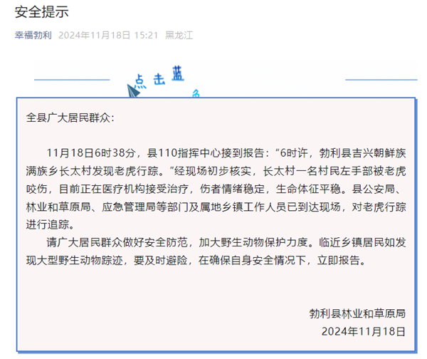 黑龍江老虎進(jìn)村猛撞門 有人手被咬爛 官方通報(bào)：正在追蹤