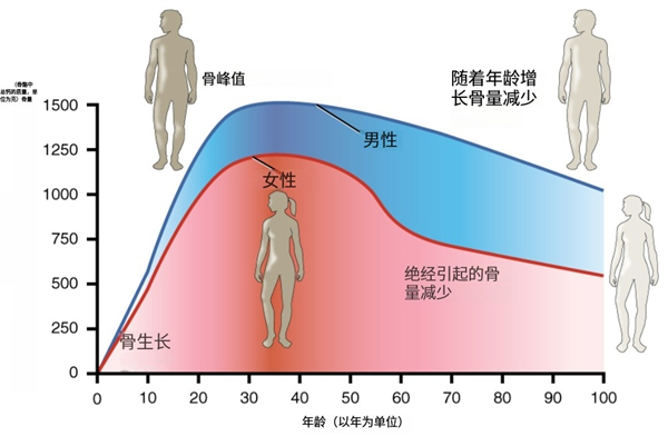 不想老了骨質(zhì)疏松 勸你多吃這5種食物 尤其女性！