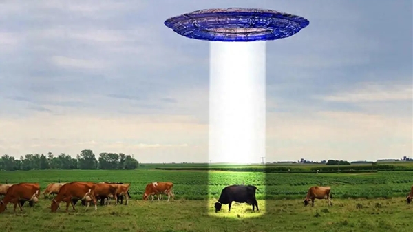美國神秘屠牛事件：上萬頭牛器官憑空消失！沒有血跡 傷口平整