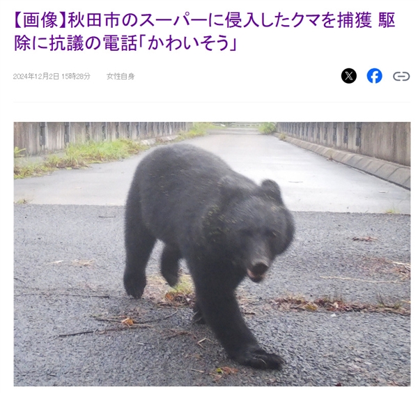 日本一黑熊闖入超市被捕將處死：不少市民求情“太可憐”