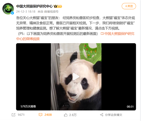 大熊貓“福寶”初步檢查無(wú)異常：曾被發(fā)現(xiàn)進(jìn)食時(shí)發(fā)抖抽搐