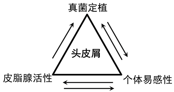 洗頭忽略了這一點 頭皮屑永遠(yuǎn)洗不干凈！