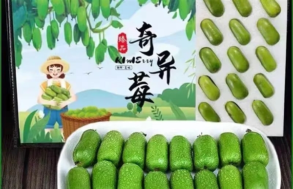 維C含量是橙子6倍！這種長得像棗的水果 竟是獼猴桃