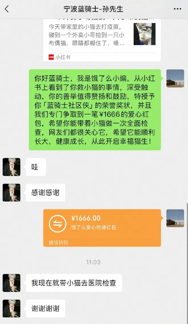 外賣(mài)小哥路上救助生病流浪貓 獲贈(zèng)1666元 授予“俠”證書(shū)