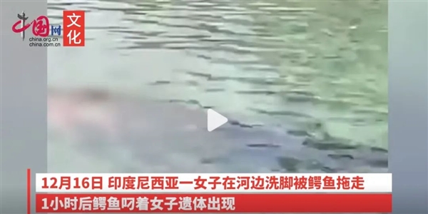 印尼女子海邊洗腳 突遭4米長鱷魚死亡翻滾：逃生可能為0