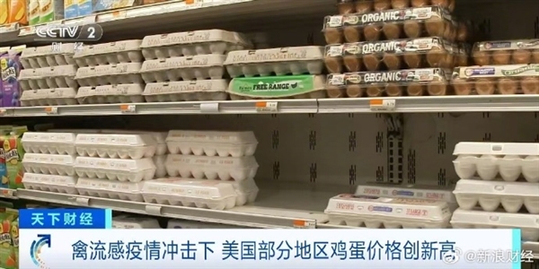 蛋價(jià)飆升：美國(guó)部分地區(qū)一顆雞蛋5塊多 真吃不起了