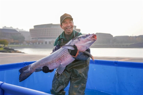 浙大學(xué)生玩嗨了 捕撈3000斤魚免費吃 魚王足足有45斤