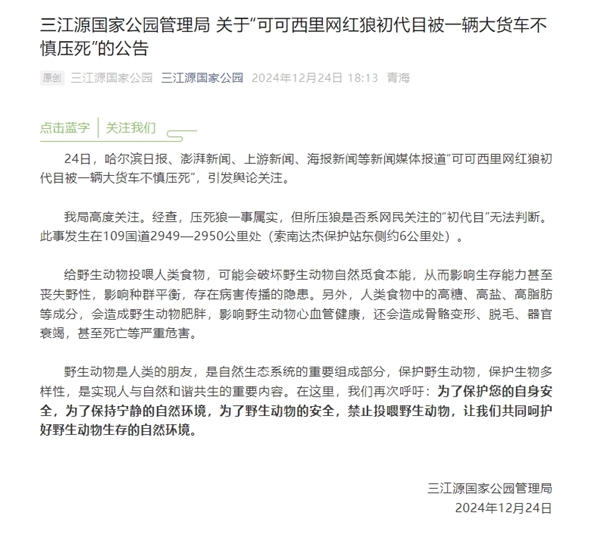 官方通報可可西里網(wǎng)紅狼死亡事件：屬實 無法判斷是否為“初代目”
