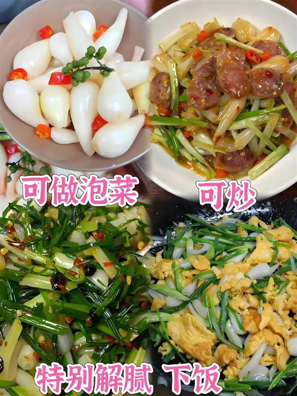 荸薺、蕺菜、藠頭：見(jiàn)過(guò)吃過(guò)聽(tīng)過(guò) 但就是不會(huì)讀