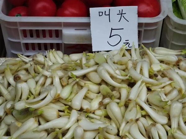 荸薺、蕺菜、藠頭：見(jiàn)過(guò)吃過(guò)聽(tīng)過(guò) 但就是不會(huì)讀