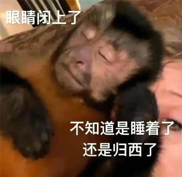 00后整頓不了的職場 它能