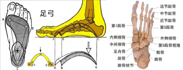 雪地靴又上熱搜！經(jīng)常穿真的很傷腳 醫(yī)生緊急提醒