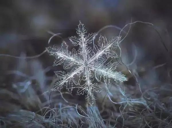 雪花有幾個(gè)瓣? 你可能還真不清楚！