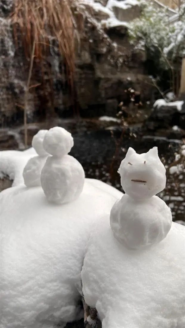 雪花有幾個(gè)瓣? 你可能還真不清楚！
