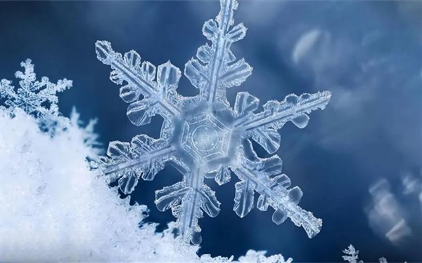 雪花有幾個(gè)瓣? 你可能還真不清楚！