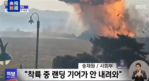 韓國(guó)載181人客機(jī)起火爆炸：179人遇難 2人生還