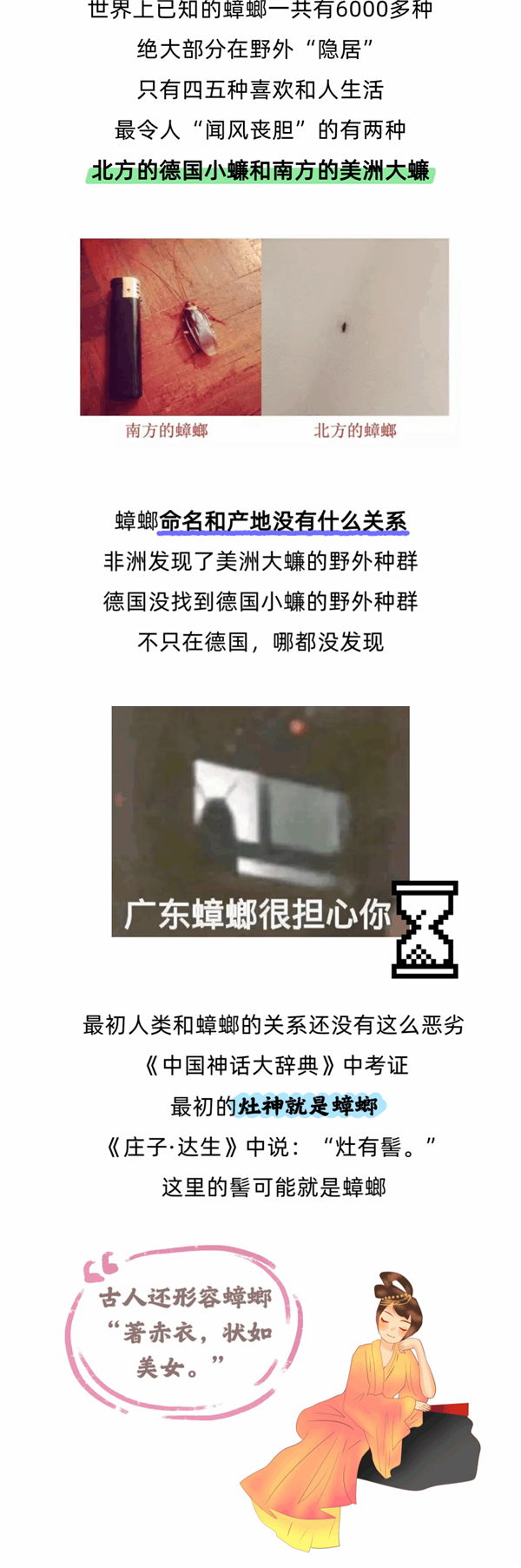 天冷了 大螂 該吃藥了