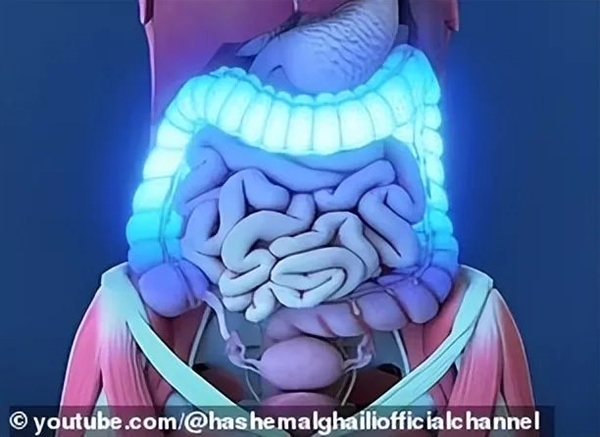 美國雙頭連體人懷孕！腰部以下身體共享 誰才是孩他媽