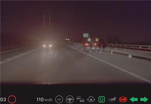 夜間120km/h跑高速突遇逆行車 理想AES緊急變道救下車主一命