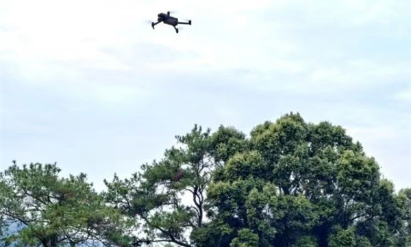 村民16只羊走丟6天：被無(wú)人機(jī)找回18只