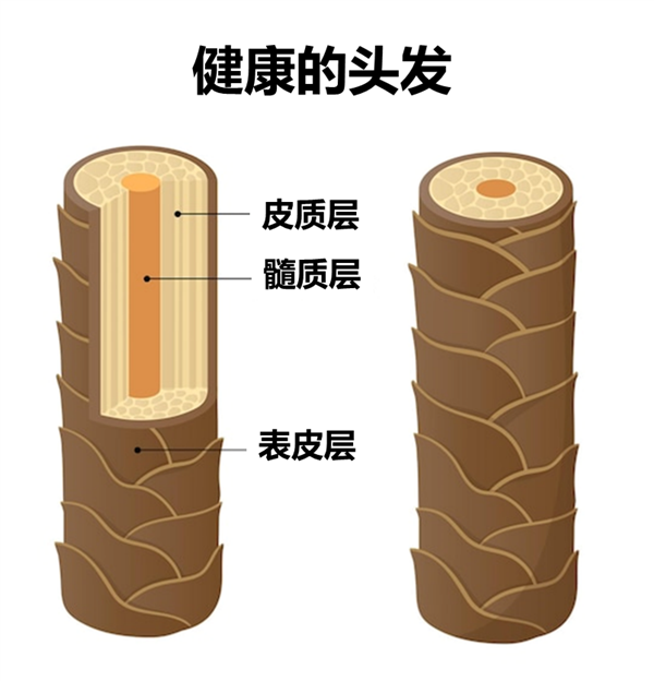 聽我的！3類人過年燙發(fā)一定要慎重