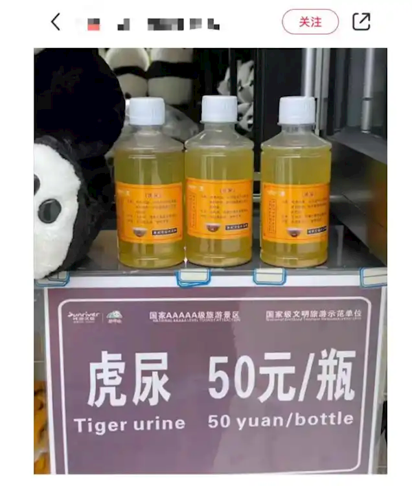 四川一動(dòng)物園賣老虎尿：一瓶50元 稱可內(nèi)服