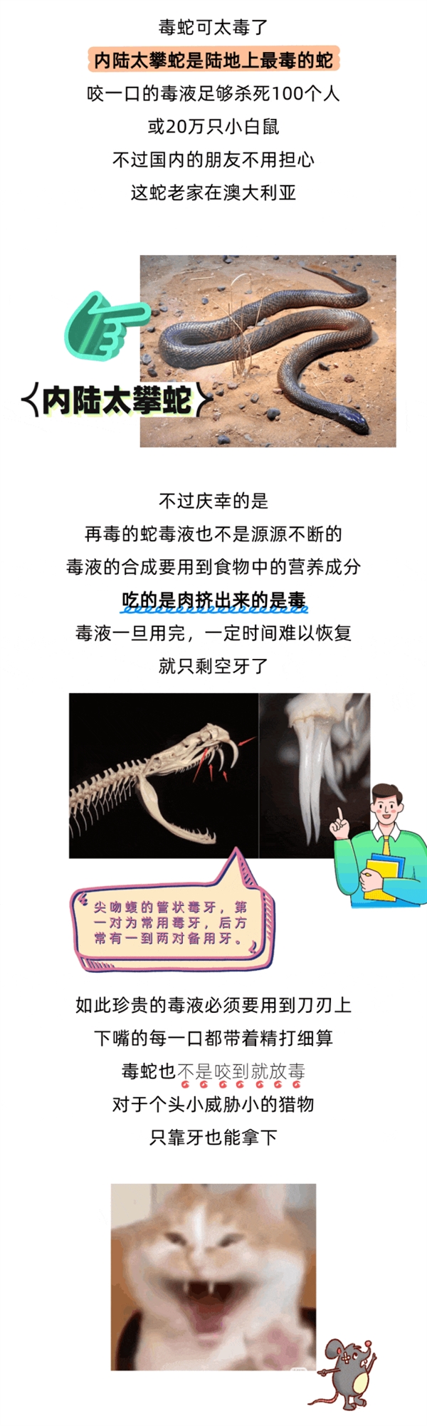 被五步蛇咬了 走四步還會(huì)死嗎