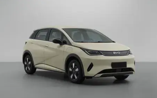天神之眼智駕上車！新款比亞迪海豚實車曝光