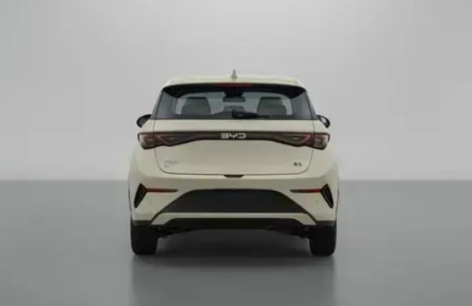 天神之眼智駕上車！新款比亞迪海豚實車曝光