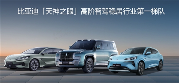 比亞迪 2024 年全球銷量三冠王 彰顯新能源汽車領(lǐng)軍實力