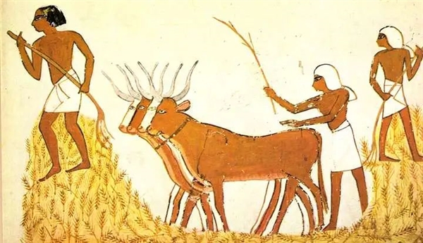 都說(shuō)非洲是人類(lèi)的起源地 但為什么非洲文明落后呢
