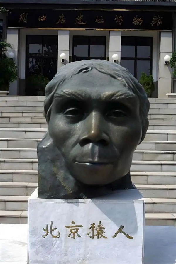 都說(shuō)非洲是人類(lèi)的起源地 但為什么非洲文明落后呢