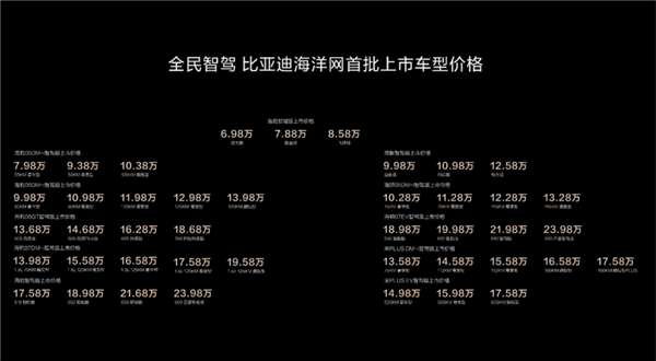 比亞迪智駕價(jià)格戰(zhàn)背后：一年招了幾千人 過(guò)年還在趕工