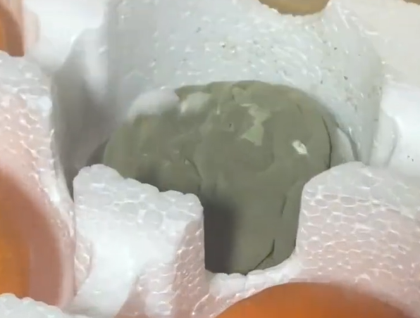 橘子冒煙小心肺部真菌感染：大量孢子形成煙霧
