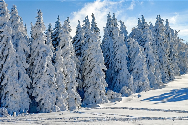 山航在暴雪中起降是否安全 專家分析