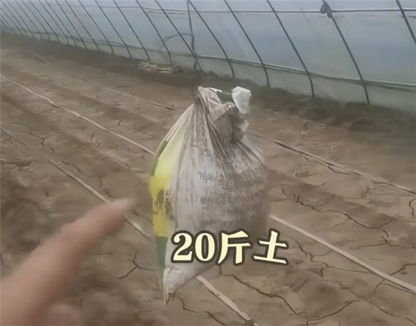 農(nóng)戶自制沙袋阻尼器抵御暴風(fēng) 借鑒上海中心大廈