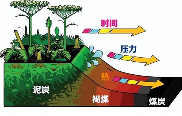 亞洲大露天煤礦 百米厚煤層足足開采了118年！古代植物咋都埋那了