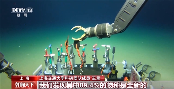 全球首個！中國科學家繪制出深淵生態(tài)系統(tǒng)全景圖