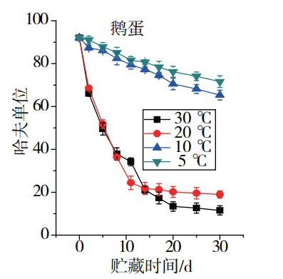 鵝蛋營(yíng)養(yǎng)豐富 為什么很少有人吃 也很少有賣(mài)的