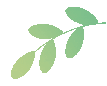 漫步外灘源，邂逅建筑藝術(shù)之美