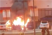 多地爆發(fā)“打倒特斯拉”活動！馬斯克：DOGE讓我付出了巨大代價