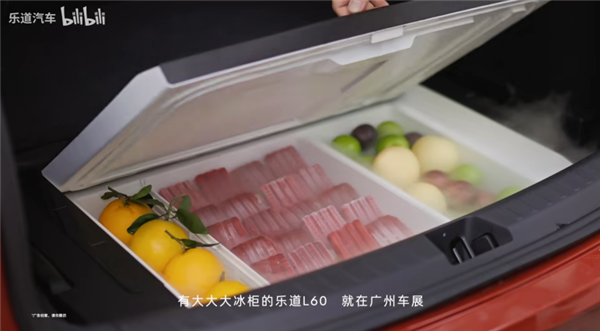 樂道CEO“引咎”辭職 他們這半年到底做錯(cuò)了啥