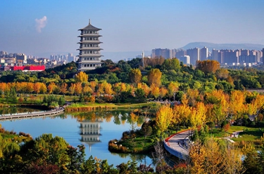 8歲娃探秘戰(zhàn)場(chǎng)遺跡，清明祭奠緬懷南口抗戰(zhàn)英烈